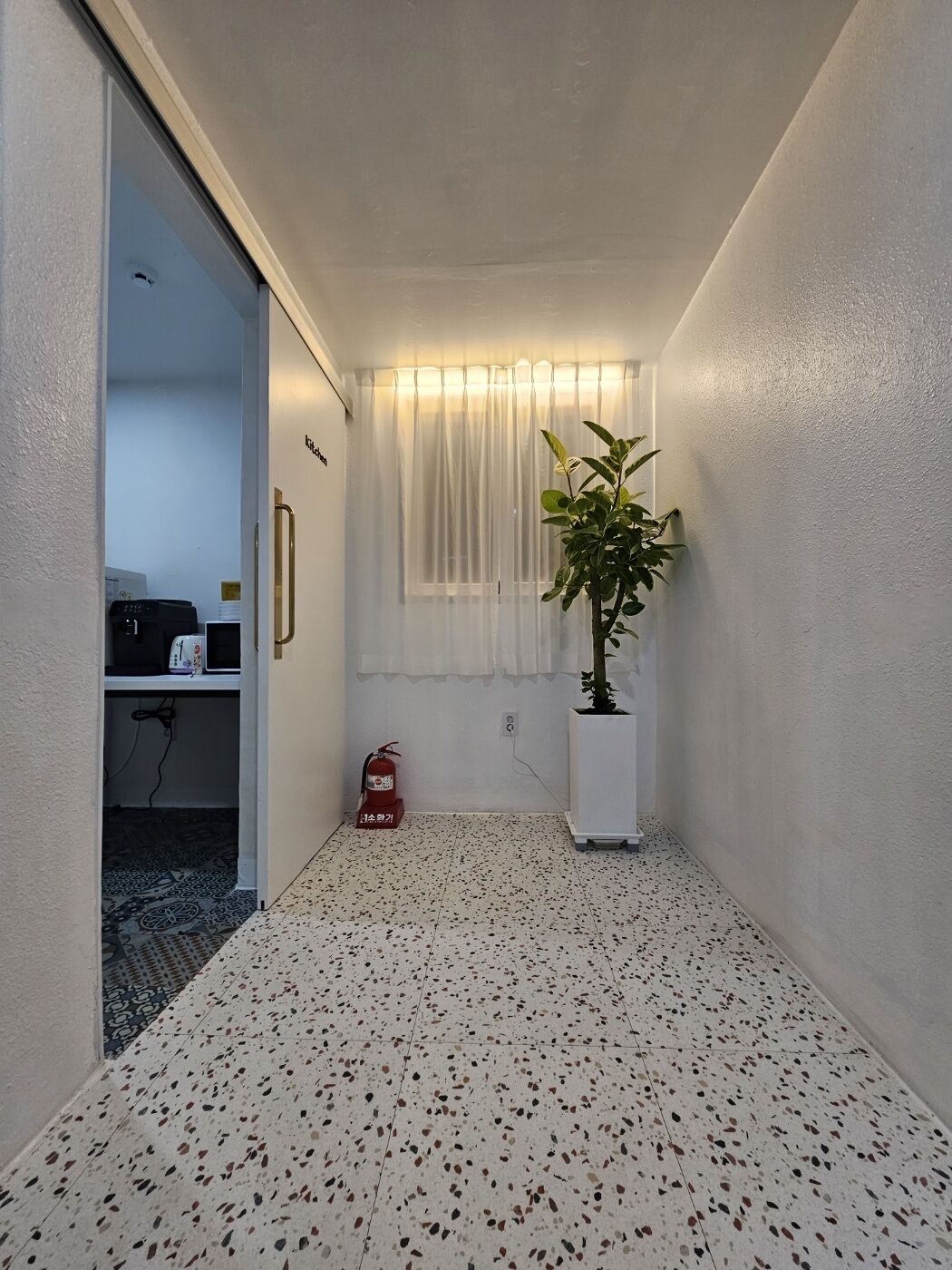A narrow hallway with a speckled floor, a potted plant, a fire extinguisher, and a window with sheer curtains.