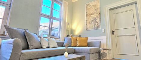 Smart TV, fireplace, books