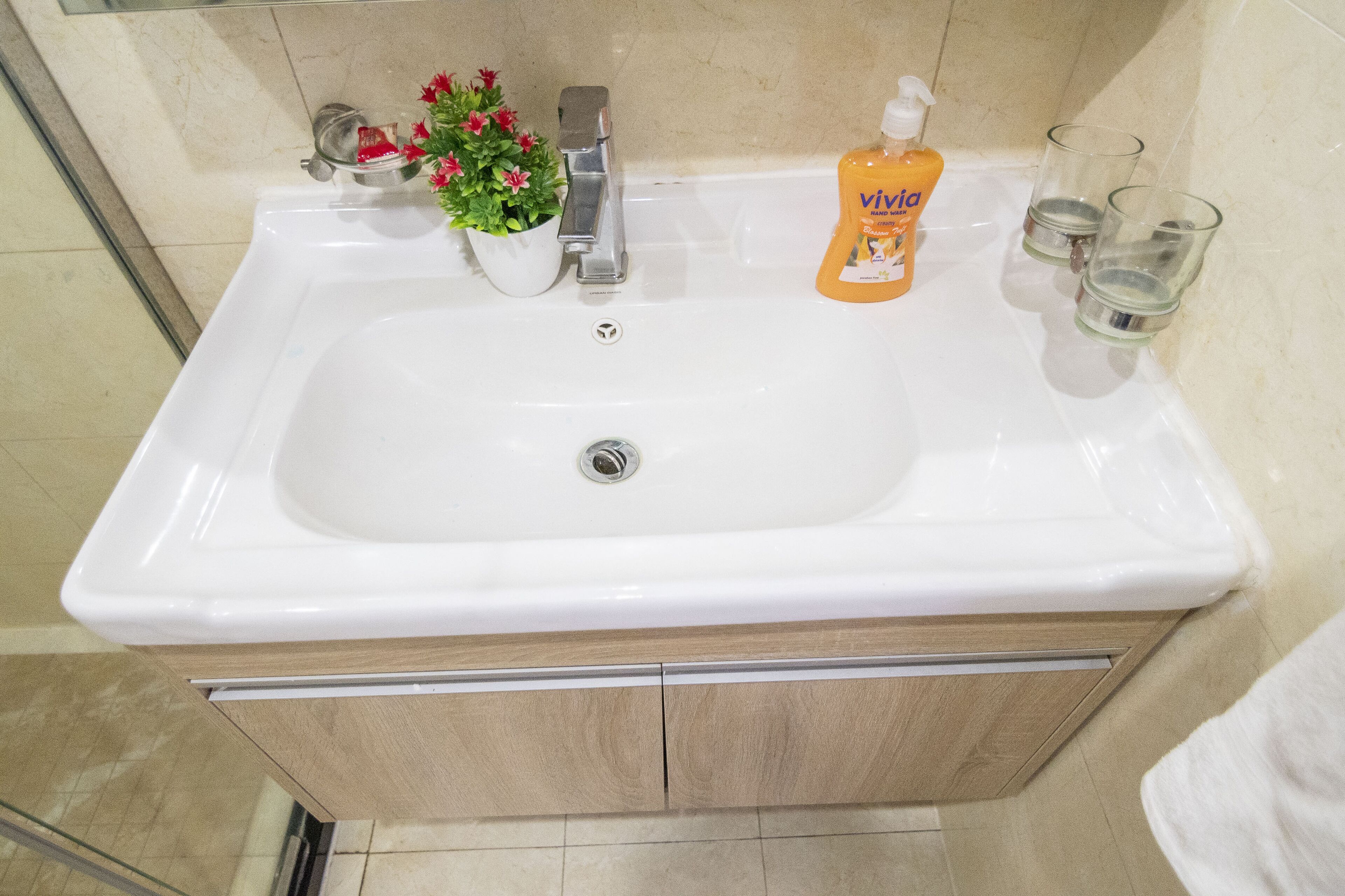 A bathroom sink with a potted plant, a soap dispenser, and two glasses.