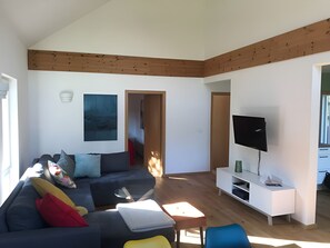 Smart TV, caminetto, libri, impianto stereo