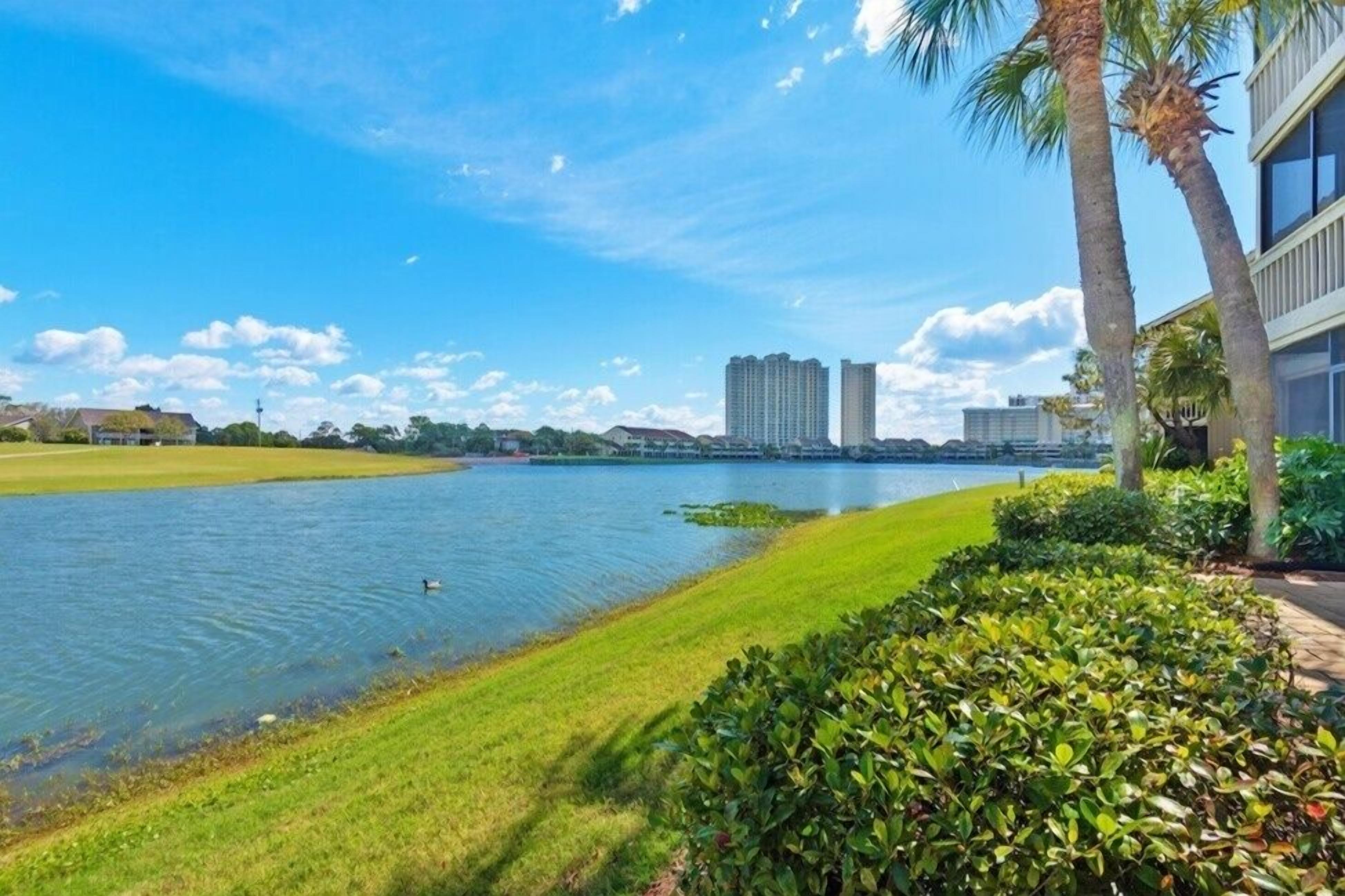A waterfront view with a grassy area, palm trees, and buildings in the background.