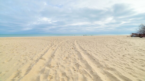 A wide sandy beach with visible tire tracks and a clear sky. - Oscoda Cabin w/ Charcoal Grill: Walk to Lake Huron (Oscoda)