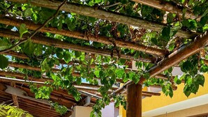 Une cour avec une pergola recouverte de plantes grimpantes, un sol carrelé et un bâtiment jaune doté d’une porte en bois.