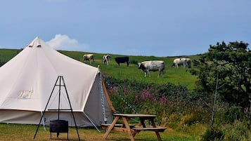 Cabin | Property grounds