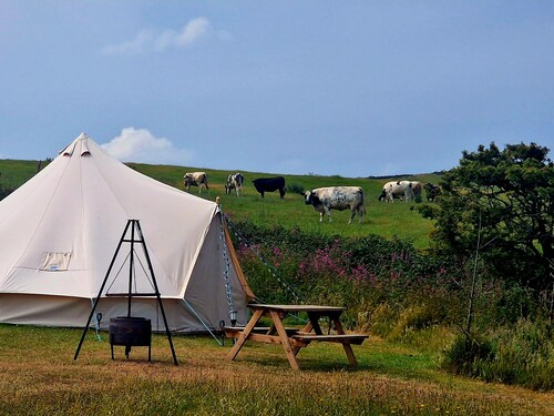 Beautiful 1-bed Bell Tent in Holyhead