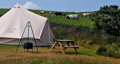 Beautiful 1-bed Bell Tent in Holyhead