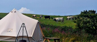 Beautiful 1-bed Bell Tent in Holyhead