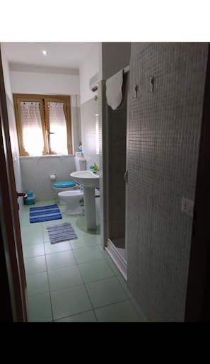 Sèche-cheveux, savon, papier toilette