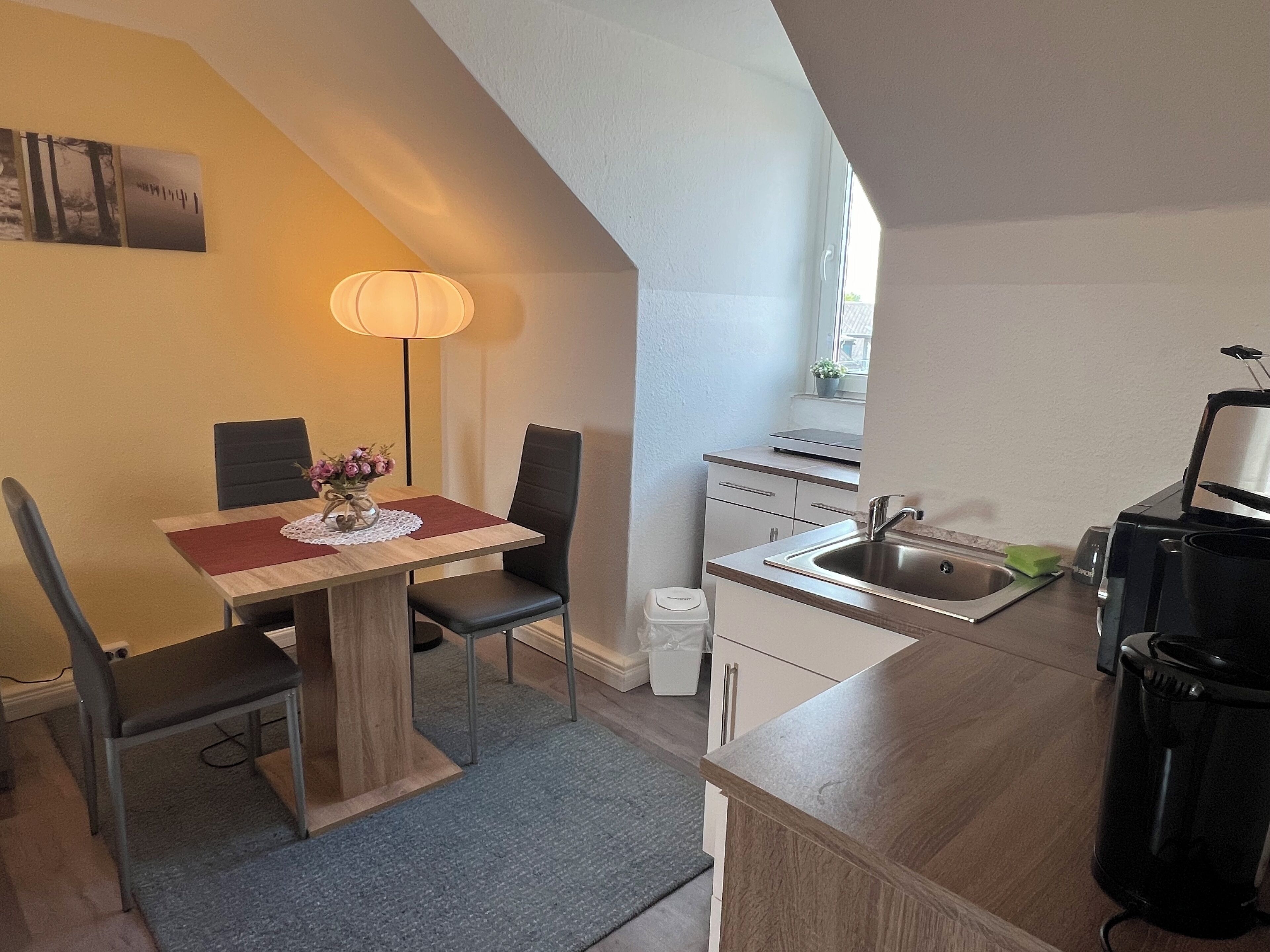 Kühlschrank, Mikrowelle, Herdplatte, Wasserkocher mit Kaffee-/Teezubehör