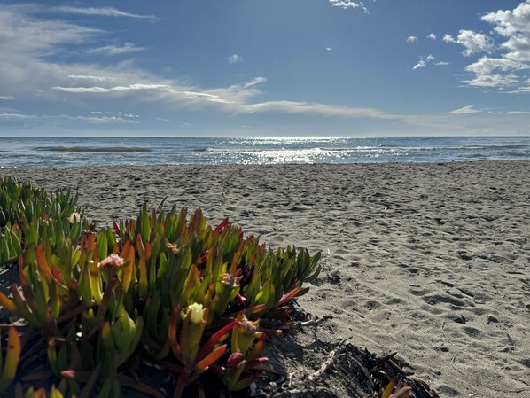 Beach - Casita Louise à 200 m Plage de Sable (Lucciana)