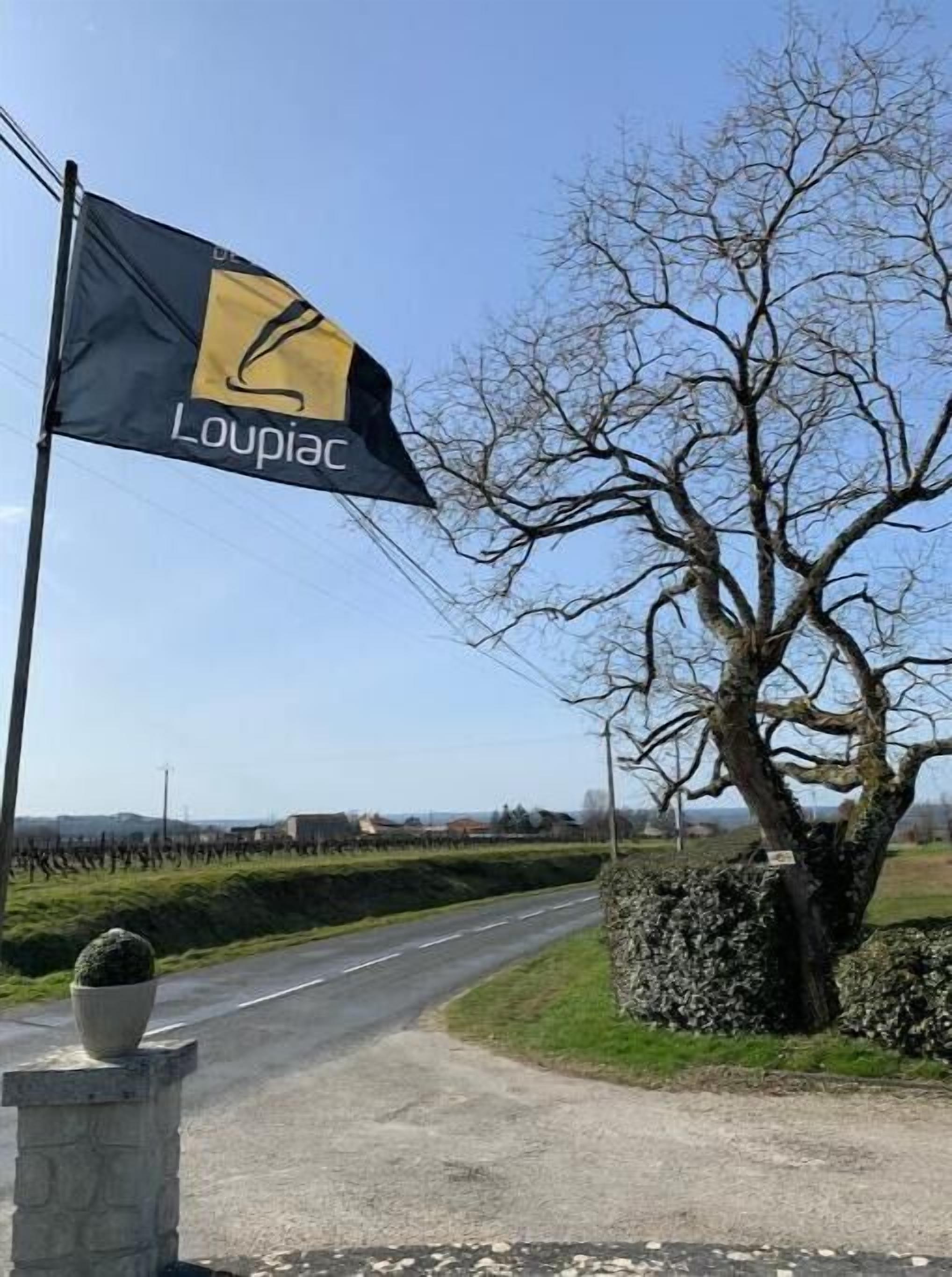 A flag with the word "Loupiac" on a flagpole beside a road.