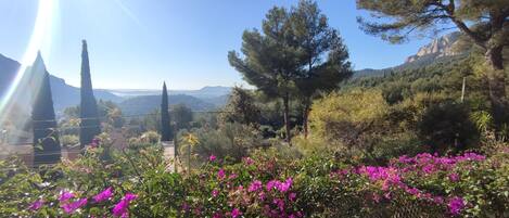 Áreas de la propiedad