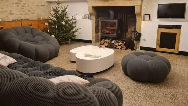 Un salon chaleureux avec une cheminée, un sapin de Noël et des meubles modernes.
