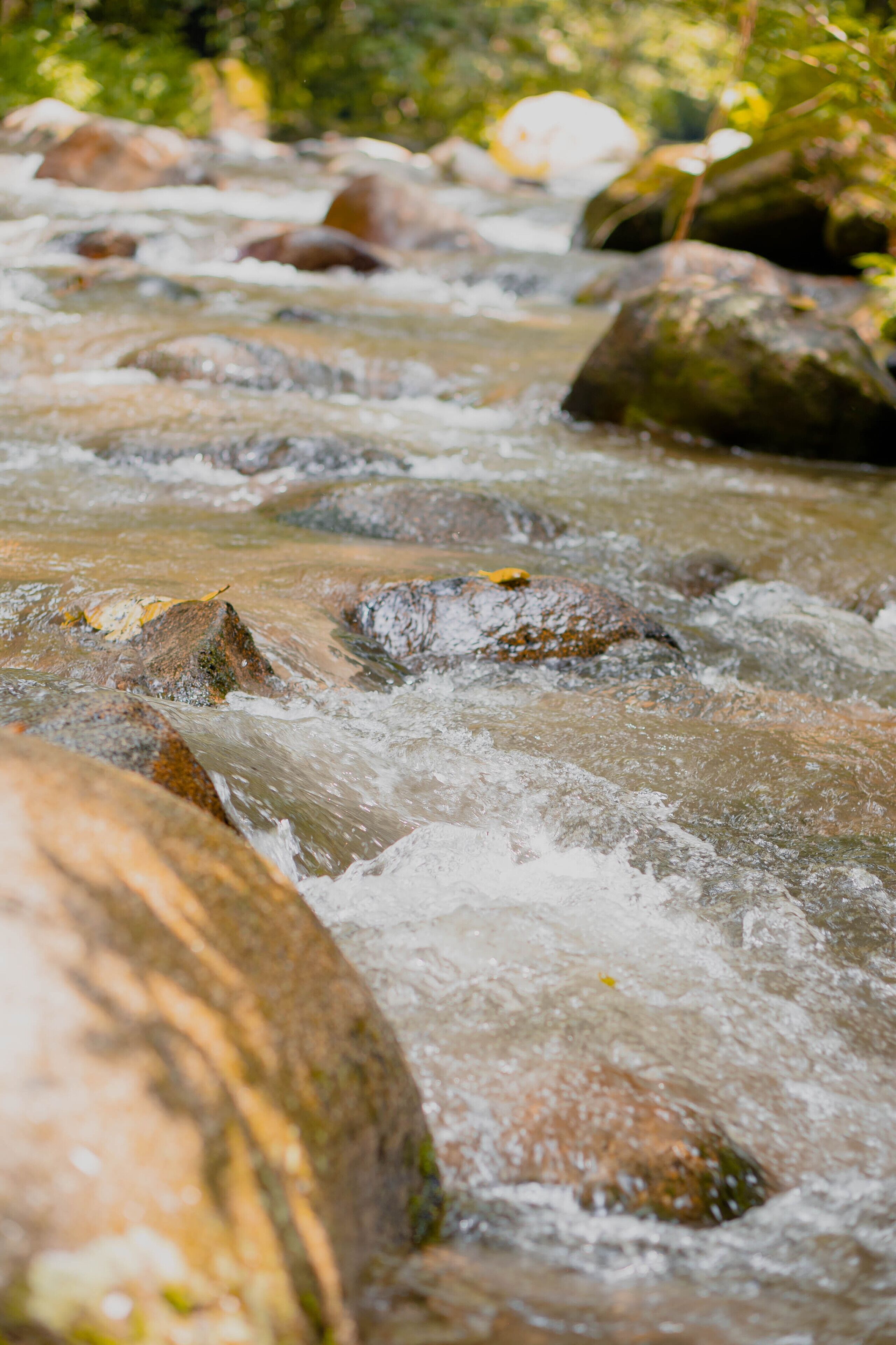 Une rivière aux eaux claires qui coule sur des rochers.