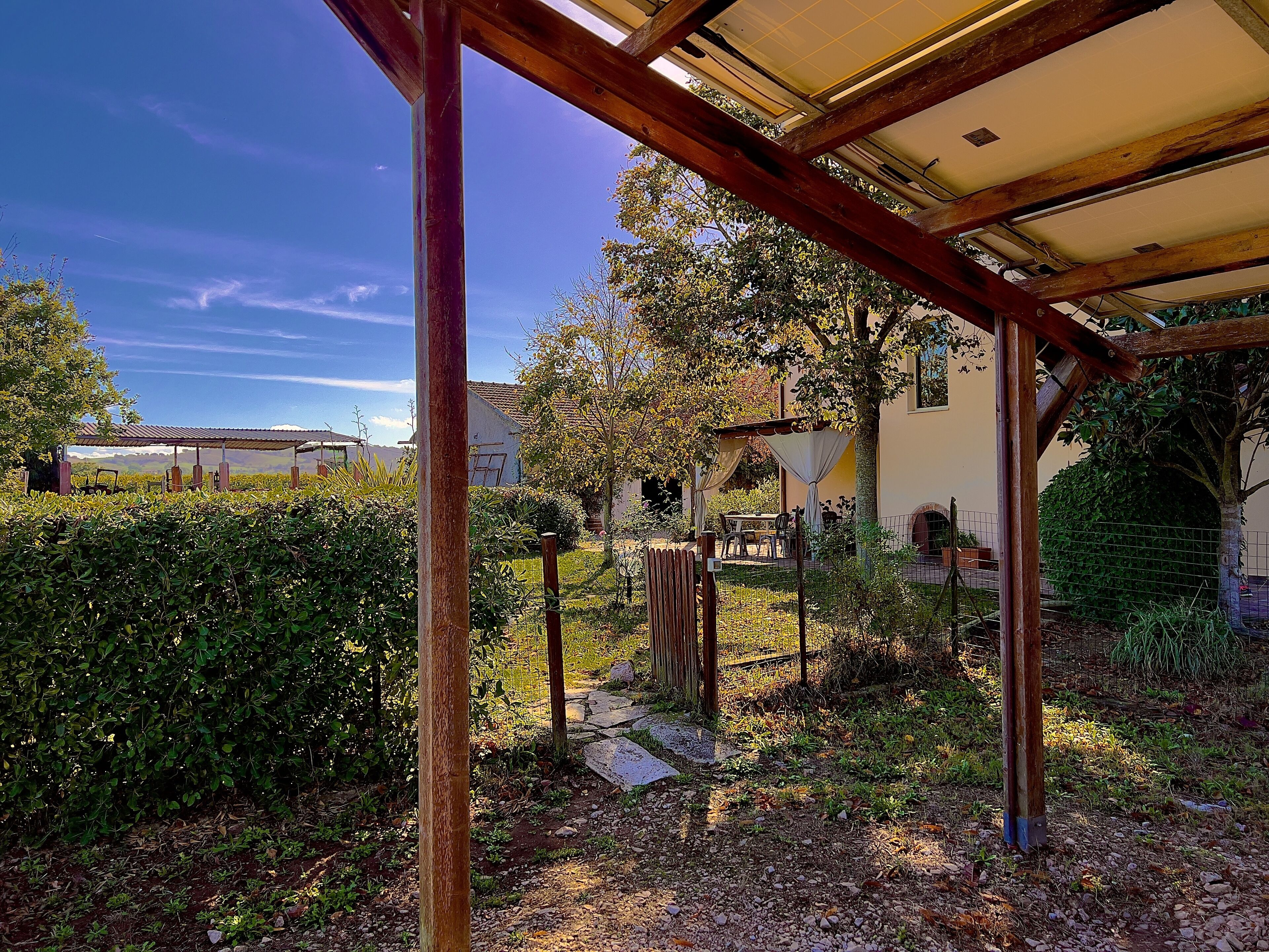 A covered outdoor area with a pergola structure, a garden with a hedge, and a building in the background.
