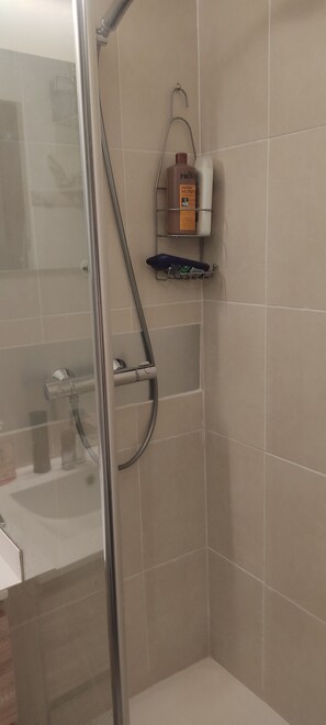 Regadera, secadora de cabello, jabón, papel de baño