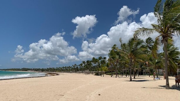 Une plage avec un ciel dégagé, des palmiers et une rive sablonneuse.
