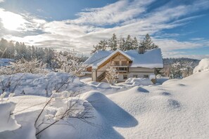 Una casa rodeada de árboles cubiertos de nieve.