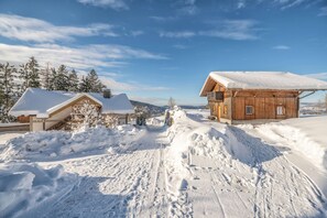 Exterior - Vacation apartment with sauna (Breitenberg)