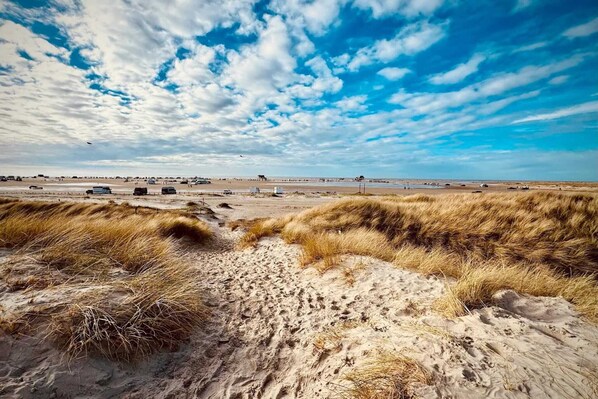 Tæt på stranden