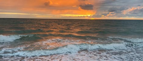 Tæt på stranden