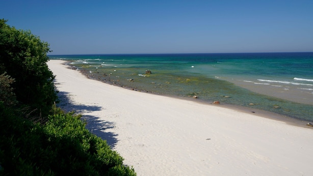 Una playa con agua turquesa cristalina, arena blanca y vegetación verde a lo largo de la orilla.