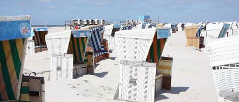Playa en los alrededores