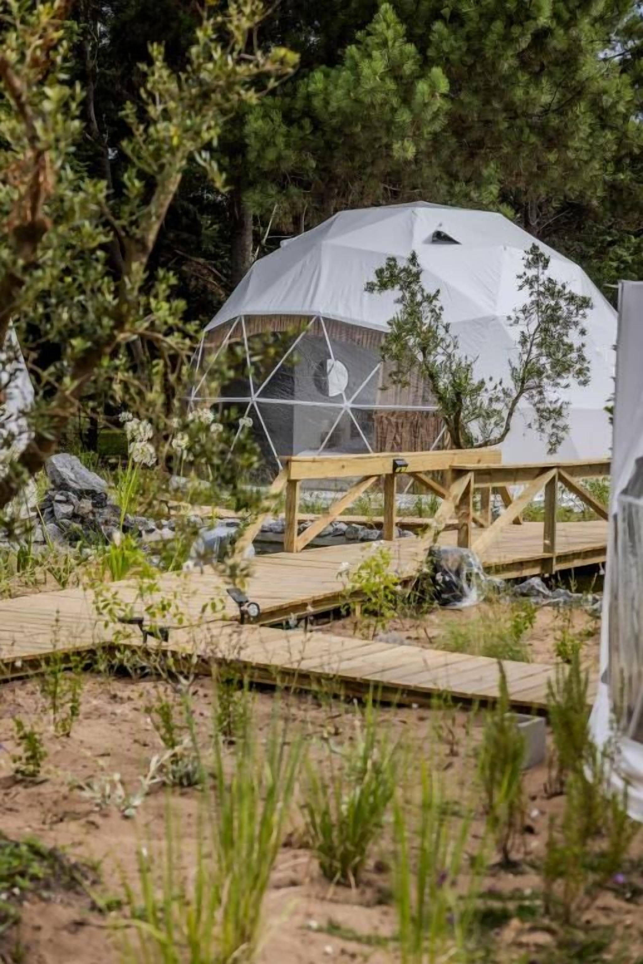 A geodesic dome structure with a wooden deck leading to it, surrounded by natural vegetation.