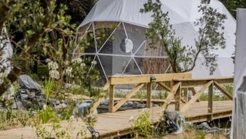 A geodesic dome structure with a wooden deck leading to it, surrounded by natural vegetation.