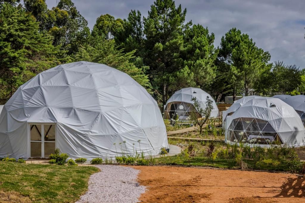 A series of dome-shaped tents with a central entrance, surrounded by a natural landscape with trees and a gravel path.