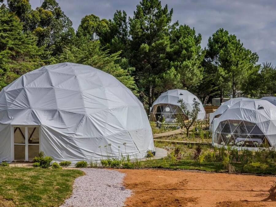 Een rij koepelvormige tenten met een centrale ingang, omgeven door een natuurlandschap met bomen en een grindpad.