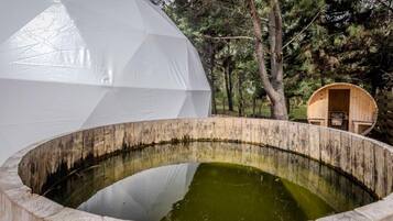 Una gran estructura en forma de cúpula blanca, una piscina circular de madera y una pequeña cabaña en zona boscosa.