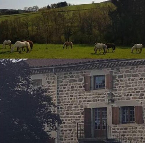 Gîte rustique et confortable, en plein cœur du Livradois Forez 