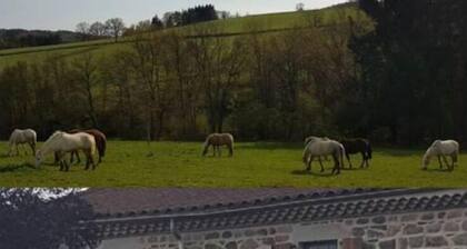 GĂźte rustique et confortable, en plein cĆur du Livradois Forez