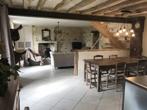 Smart-TV, Kamin