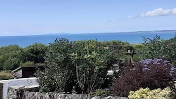 Vista desde la propiedad