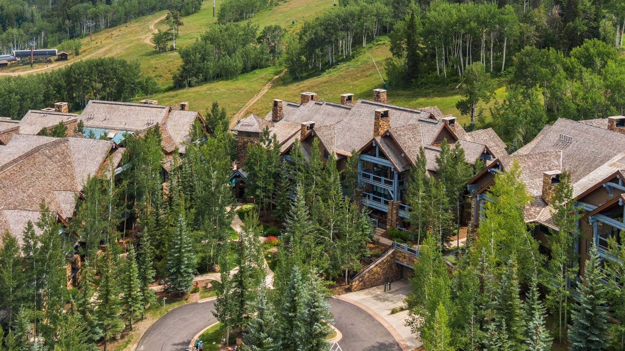 A cluster of log cabin-style buildings with stone chimneys, surrounded by dense forest and a winding road.