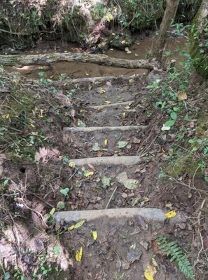 Aerial view - Hillside Camping (Madisonville)