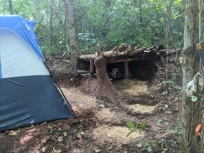 Área da propriedade