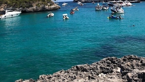 Un puerto deportivo con barcos amarrados, terreno rocoso y vegetación escasa.