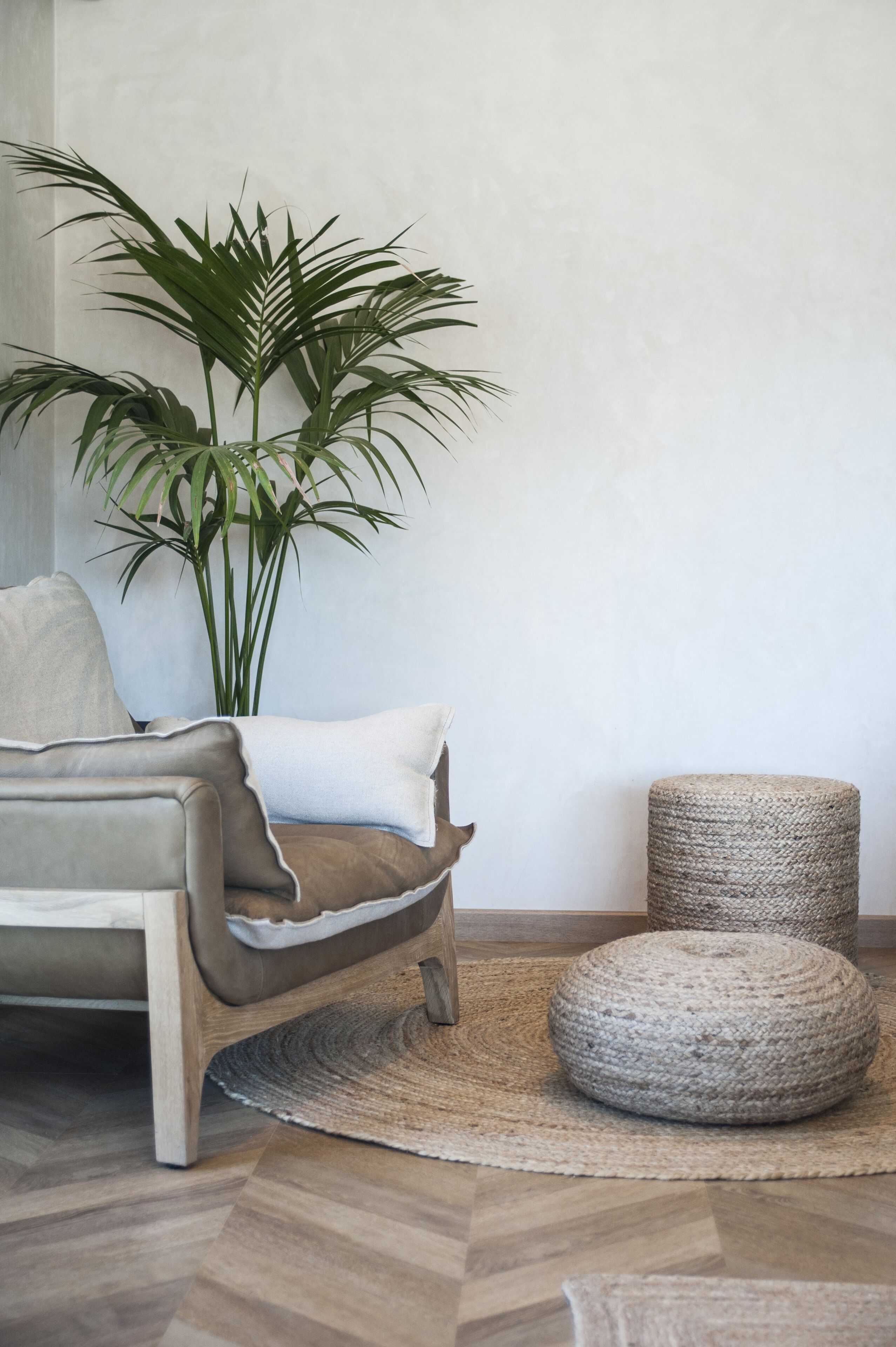 Una sala moderna con un sofá gris, una planta verde grande y un otoman redondos.