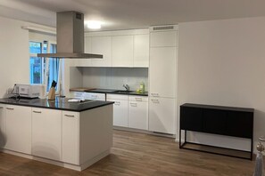 Fridge, oven, stovetop, dishwasher