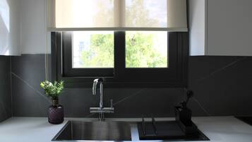 Cocina moderna con un lavamanos de acero inoxidable, una planta en maceta y una ventana con vistas a zonas verdes.