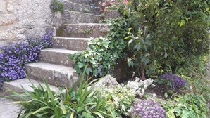 Una escalera de piedra rodeada de abundante vegetación y flores púrpuras.