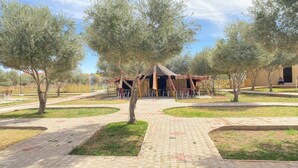 A paved pathway leading to a rustic outdoor seating area with tables and chairs, surrounded by trees and a clear sky. - IGHIZ INN Resort (Errachidia)