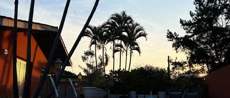 Hồ bơi ngoài trời