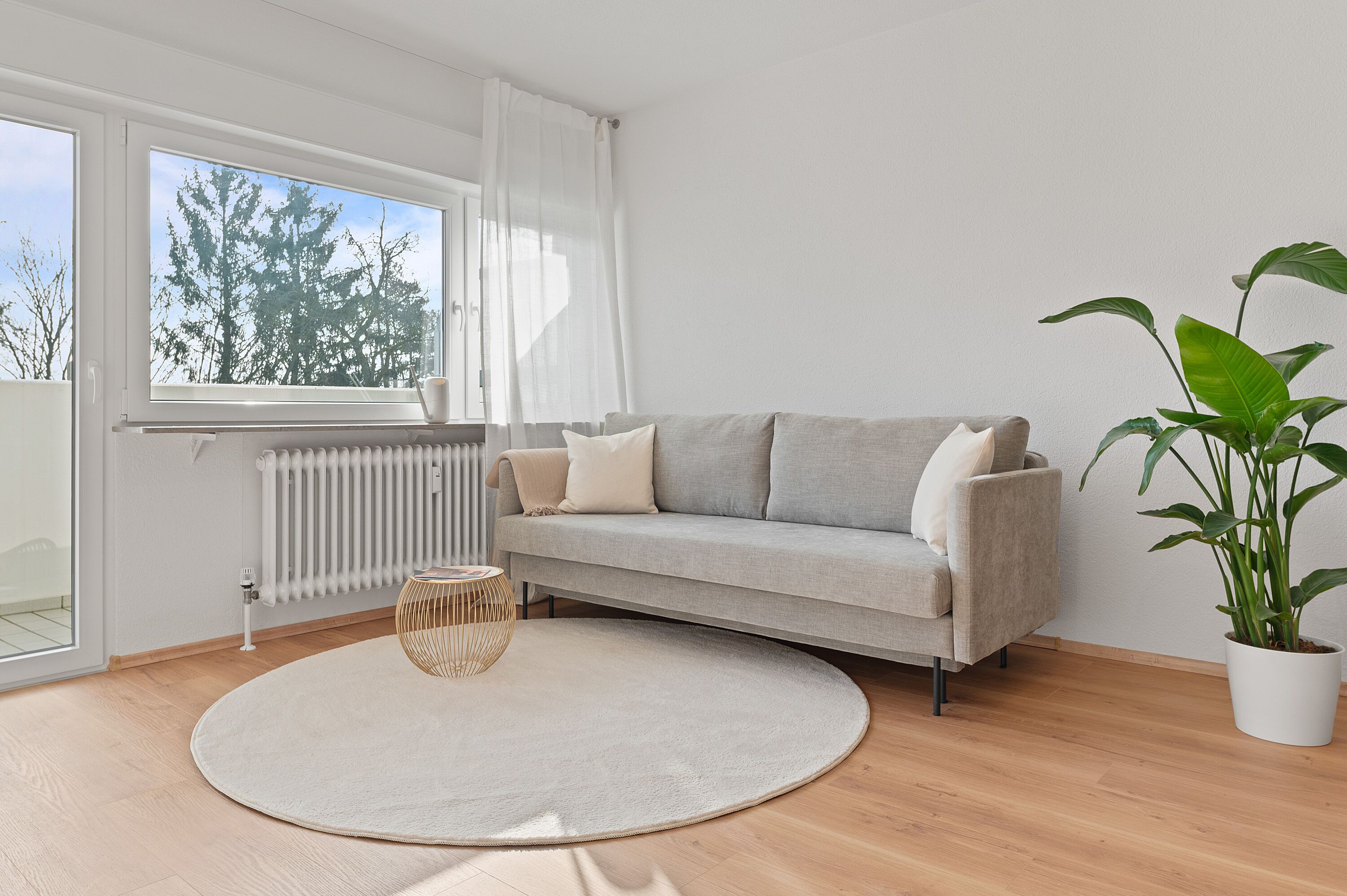 A modern living room with a grey sofa, a round rug, a potted plant, and a window with curtains.