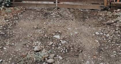 Cabaña parejas, familia o amigos - KM14 - Bosque