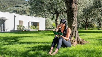 Una persona sentada sobre la hierba bajo un árbol, leyendo un libro.