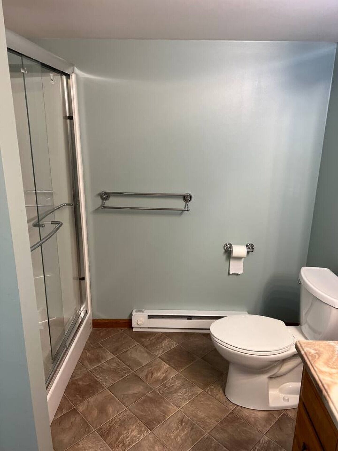 Une salle de bain avec une douche à parois de verre, des toilettes blanches, un porte-serviettes et un radiateur.